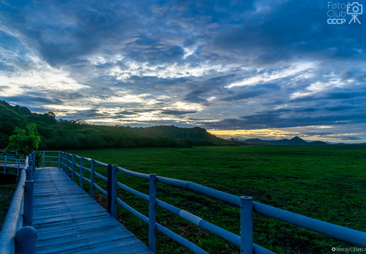 Parque Nacional Palo Verde - Mayo 2022